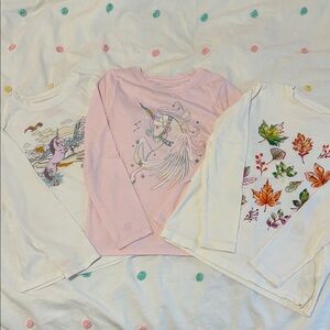 Set of Three Long Sleeve Graphic Tees, mixed brands, Cat and Jack and Jcrew